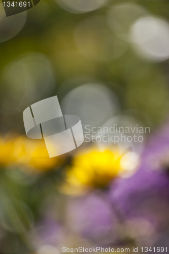 Image of natural bokeh background