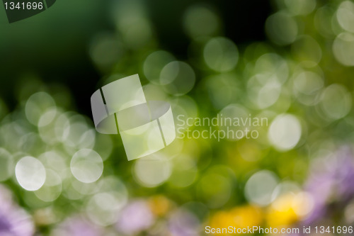 Image of natural bokeh background