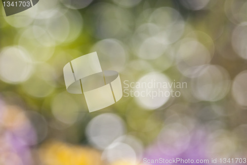 Image of natural bokeh background