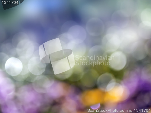 Image of natural bokeh background