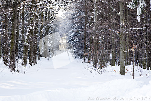 Image of winter scenery