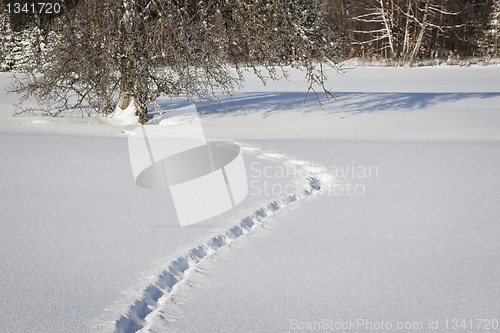 Image of winter scenery