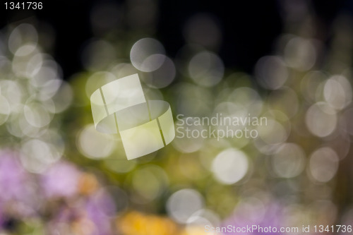 Image of natural bokeh background