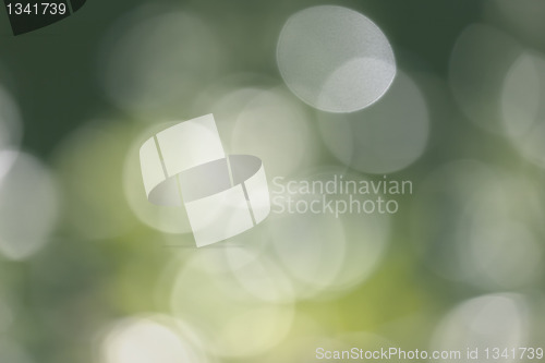 Image of natural bokeh background