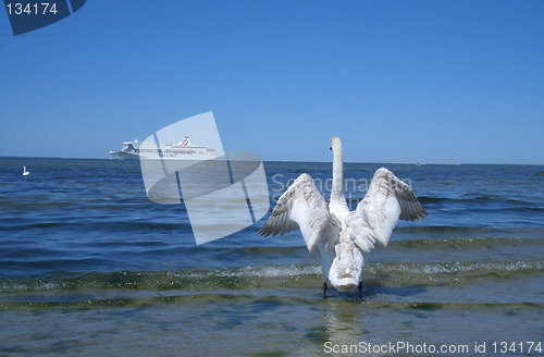 Image of Ferry in Baltic Sea