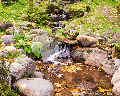 Image of Stream among stones in autumn park