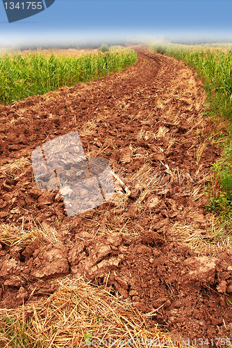 Image of Plowed field