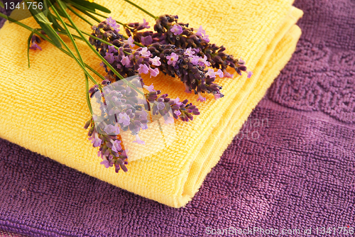 Image of Colorful towels