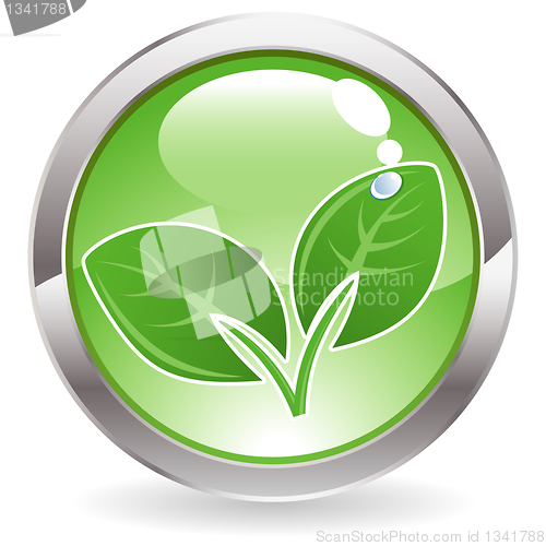 Image of Gloss Button with leaves