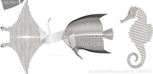 Image of Spiral fish