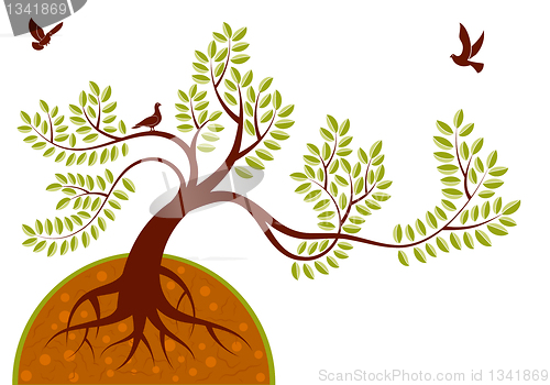 Image of Nature Background