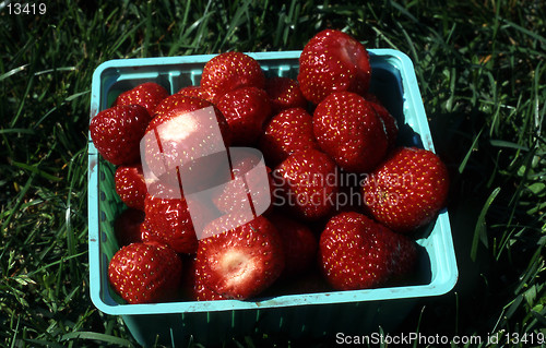 Image of Strawberry