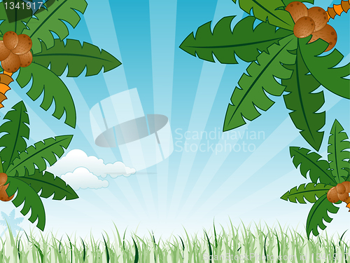 Image of Summer background
