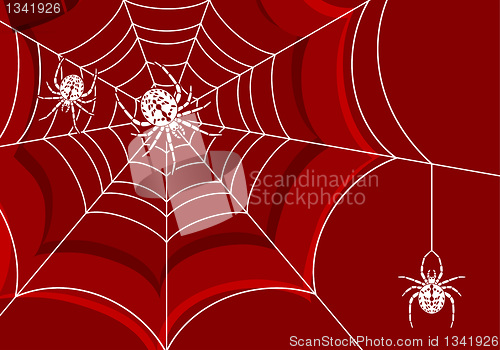 Image of Spider