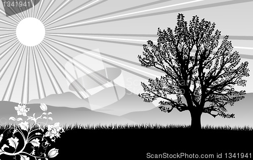 Image of Nature background