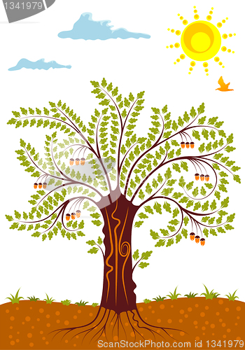 Image of Nature Background