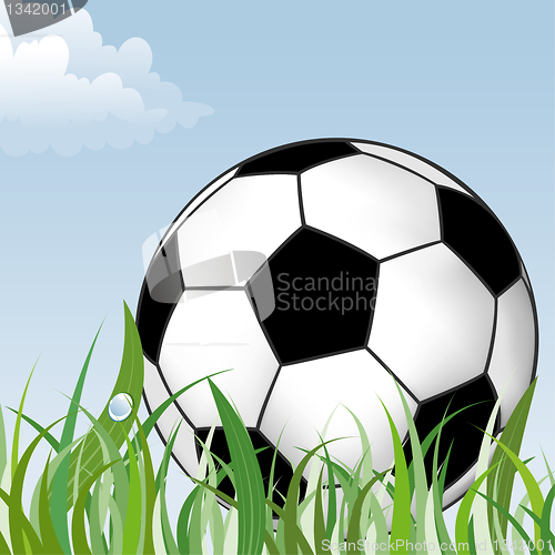 Image of Soccer Ball