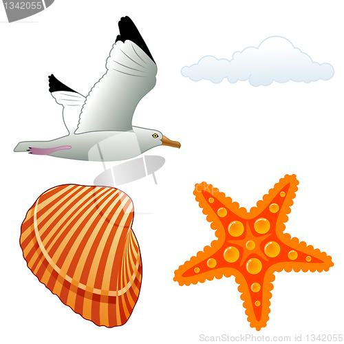 Image of Seagull and shell