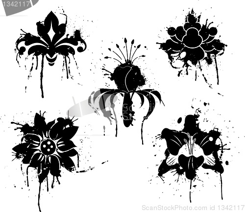 Image of Grunge paint flower, element for design, vector
