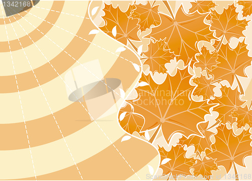 Image of Background autumn