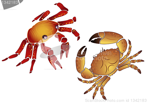 Image of Crab