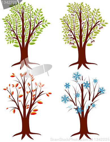 Image of Tree Seasons