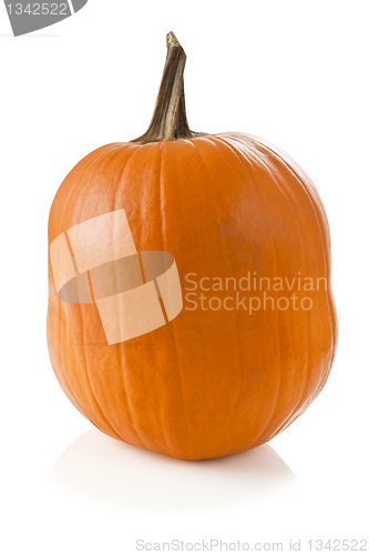 Image of Halloween pumpkin