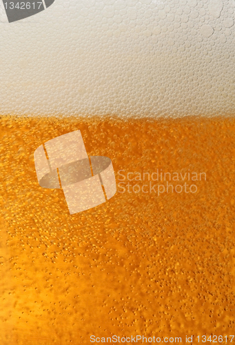 Image of beer macro