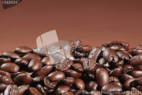 Image of coffee beans