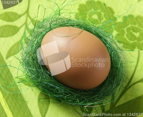 Image of brown egg