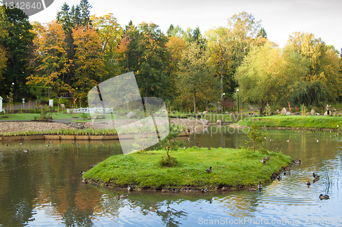 Image of Autumn park
