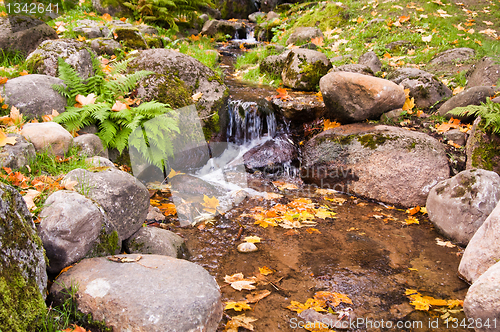 Image of Stream among stones in autumn park