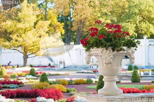 Image of Flowerpot with flowers in autumn park