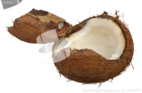 Image of Split coconut