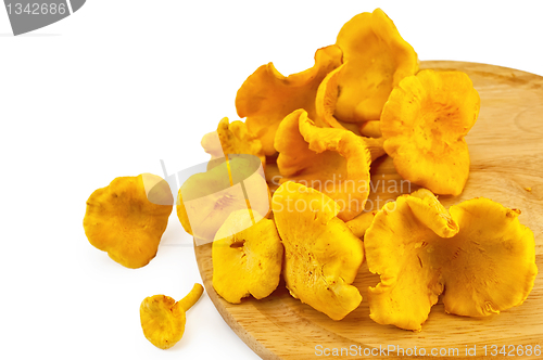 Image of Chanterelles