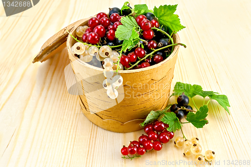 Image of Currants in a birch tueske