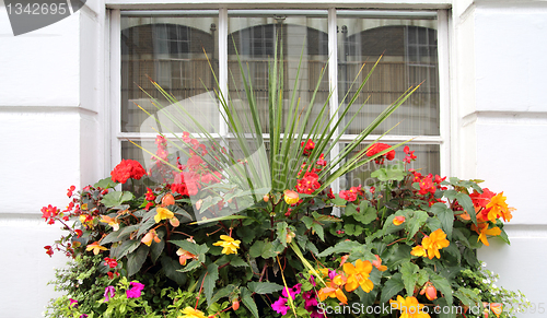 Image of flowers window