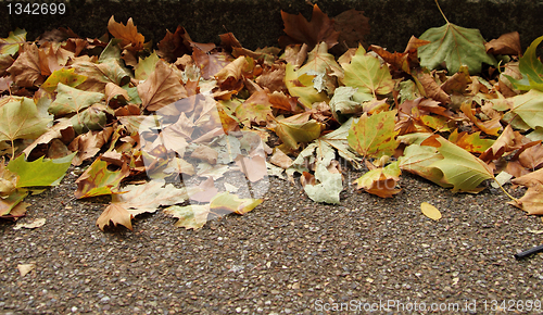 Image of fall scape