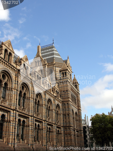 Image of london nature museum