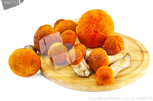 Image of Mushrooms on a round board