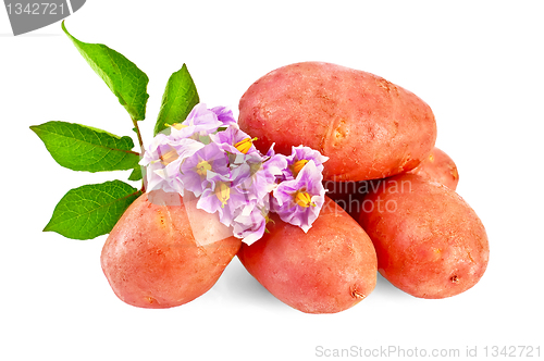 Image of Potatoes red with a flower