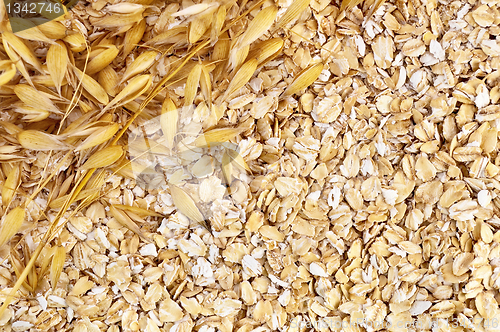 Image of The texture of oatmeal with oat stalks left