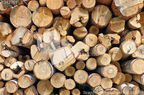 Image of Timber stack