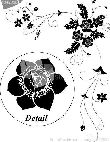 Image of Element for design, flower illustration