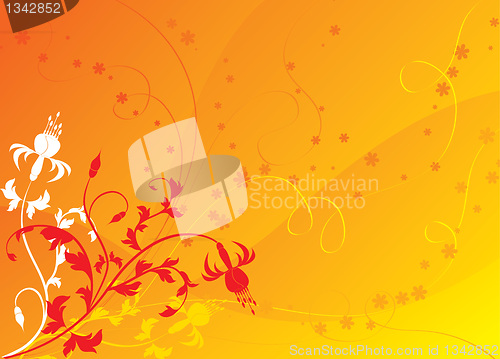 Image of Floral background, elements for design, vector