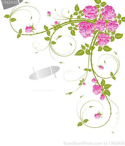 Image of Abstract floral frame