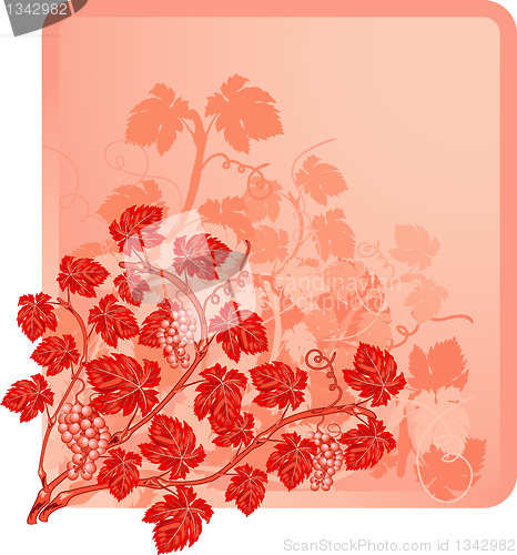 Image of Vine background