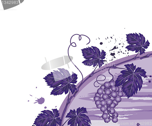 Image of Vine background