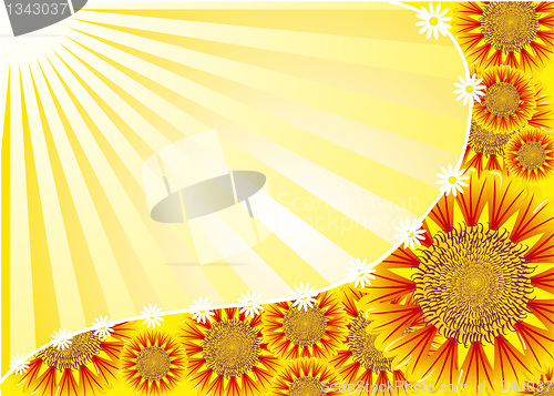 Image of Background flower