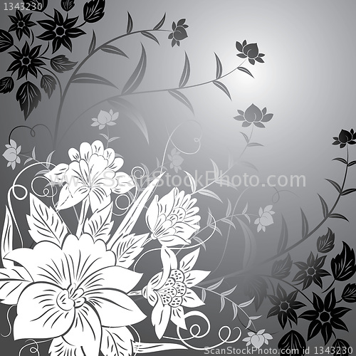 Image of Floral background, elements for design, vector